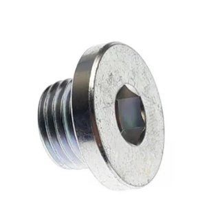 Сливная пробка двигателя M14 Segway OEM F01G00200001 F01G00200001 фото